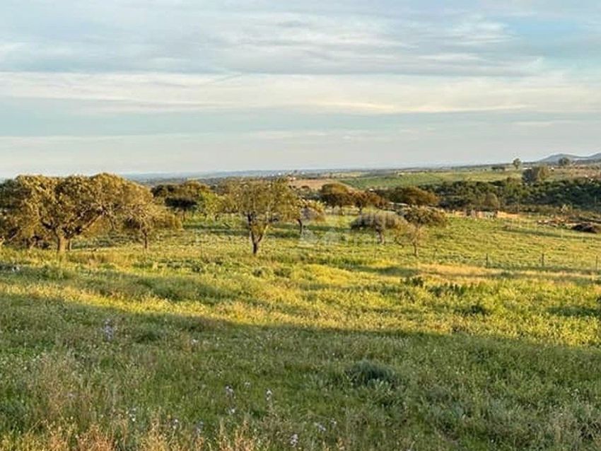 Imagem Vistas de terreno em Rua das Pedreiras, 27