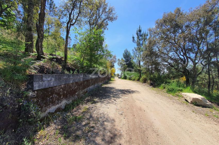 Imagem de terreno em Rua da Cabine