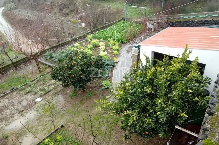 Зображення Сад,  окремий будинок чи котедж, Rua Engenheiro Eugénio Nobre, 56
