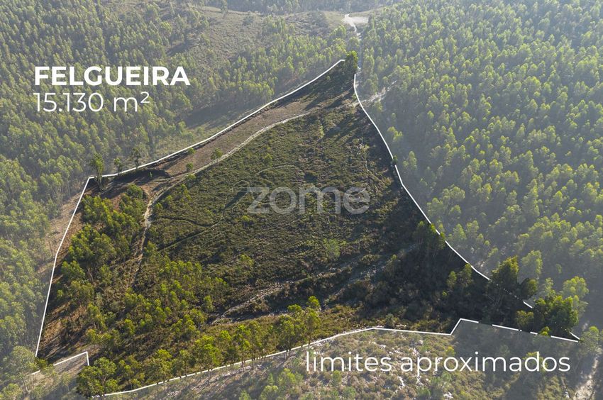 Imagem de terreno em Rua Vale de Cervas