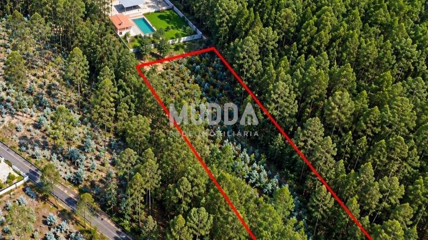 Imagem de terreno em Macieira de Cambra