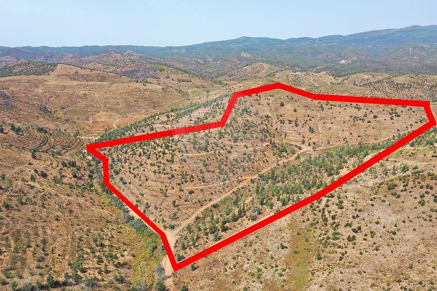 Imagem de terreno em Estrada Sem Nome