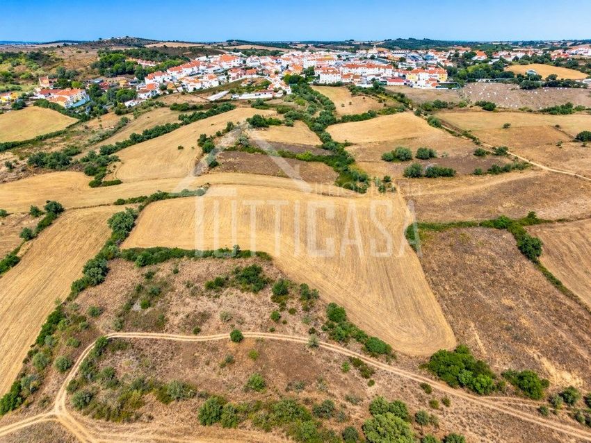 Imagem Vistas de terreno em Milharado
