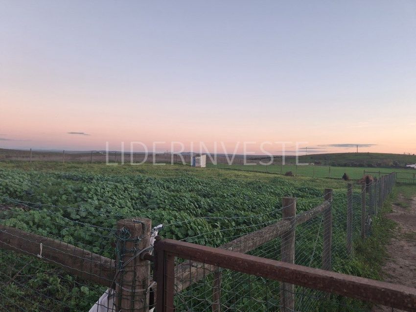 Imagem de terreno em Baleizão