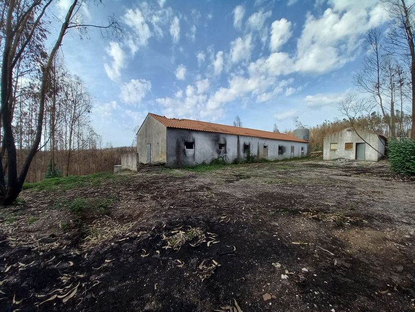 Imagem Terreno de terreno em Caranguejeira