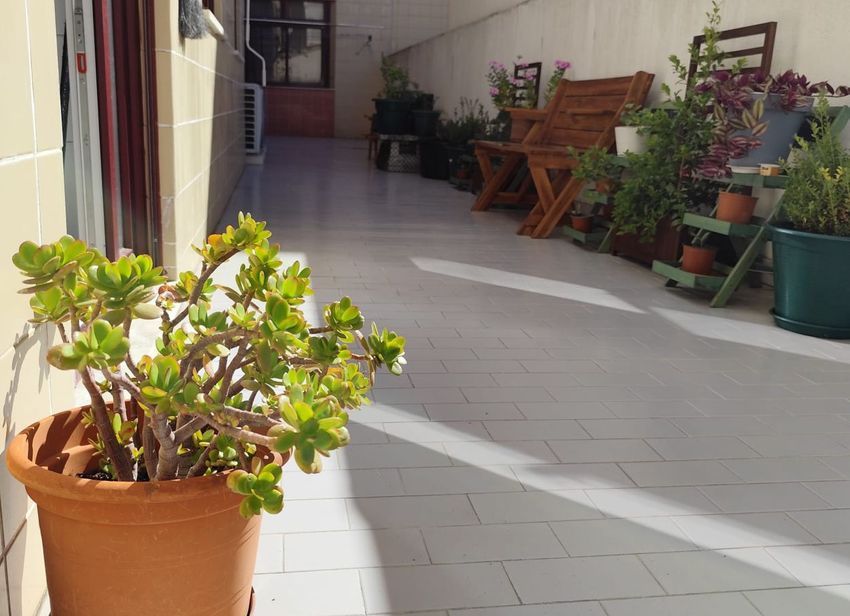 Imagem Terraço de apartamento t4 em Rua Pedro Nunes, 42