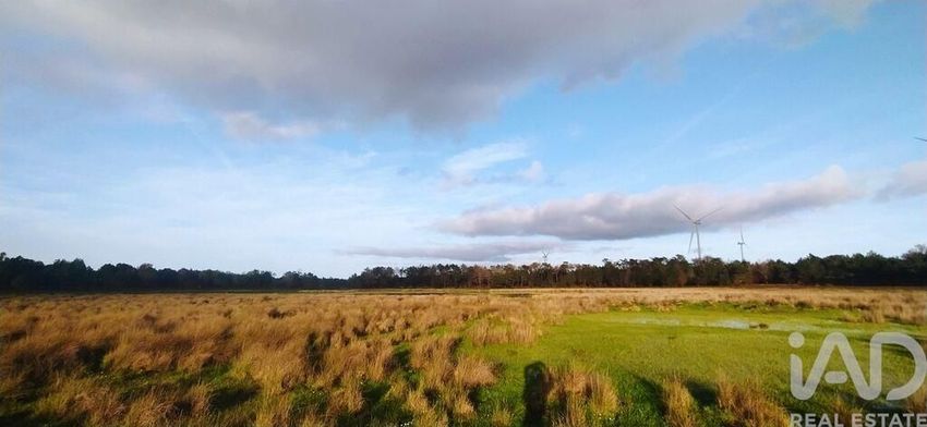Imagem Vistas de terreno em Vila do Bispo e Raposeira