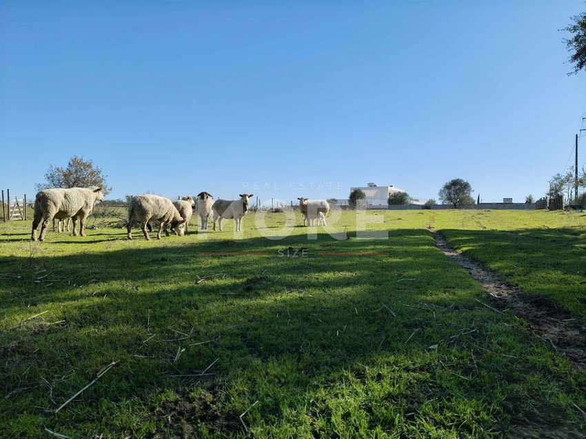 Imagem Terreno de terreno em Bacelo e Senhora da Saúde