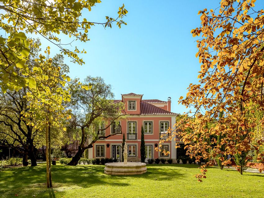 Imagem Jardim de  moradia independente em Calçada de Palma de Baixo, 21