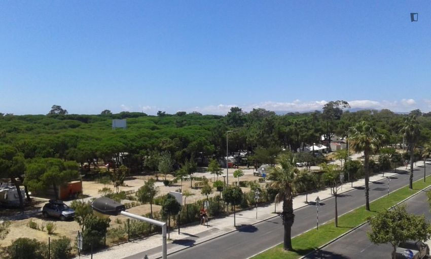 Зображення квартира t3, Avenida Afonso de Albuquerque