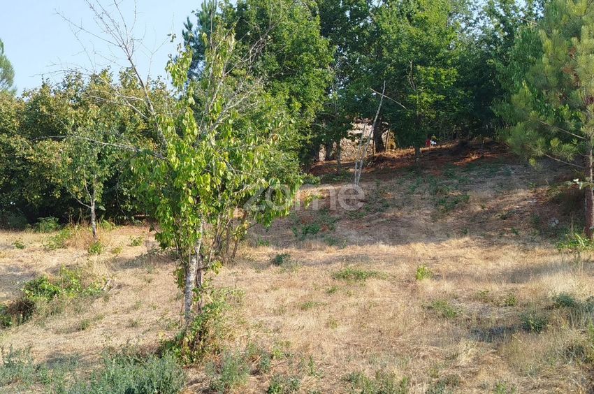 Imagem Terreno de terreno em Largo Santa Marinha