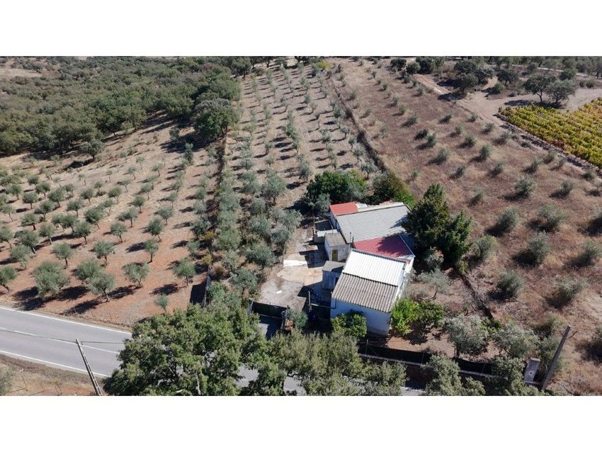 Imagem de terreno em Matriz (Borba)