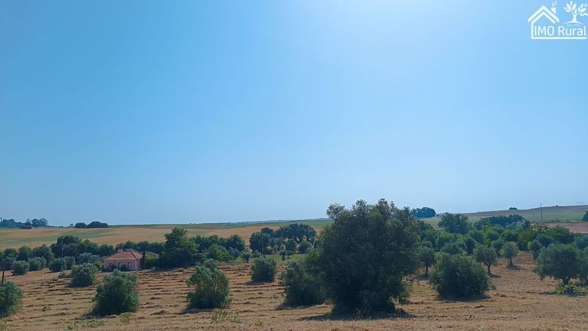 Зображення Вигляд, земельна ділянка, São Vicente do Paul