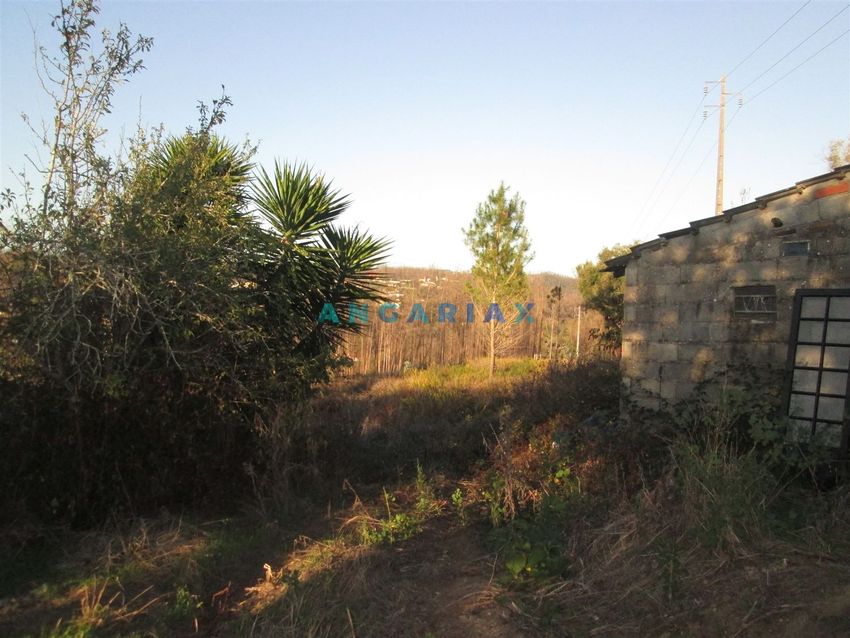 Imagem de terreno em Colmeias e Memória