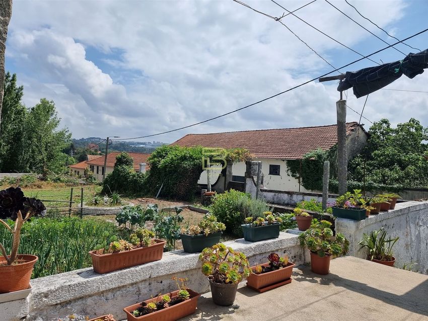 Imagem Terreno de terreno em Santo Ovídio - Cedro - Monte da Virgem