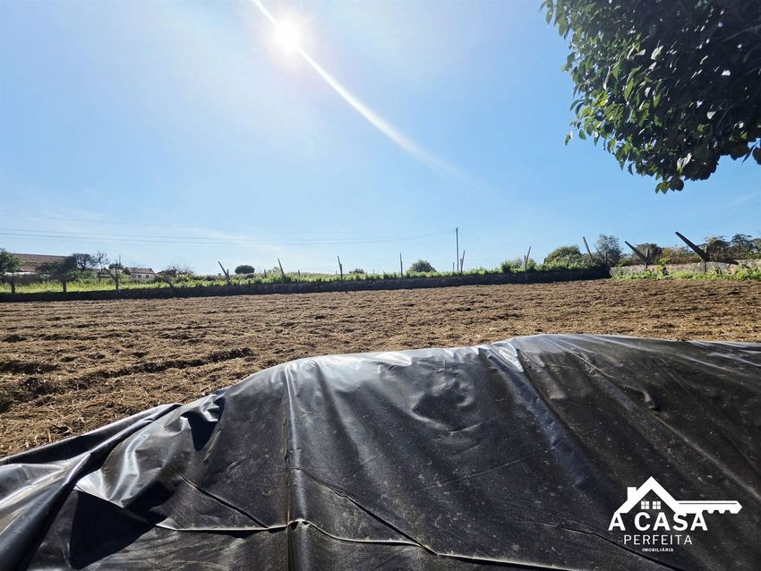Imagem Terreno de terreno em São Miguel de Souto