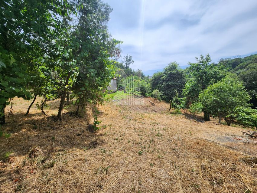 Зображення Земельна ділянка, земельна ділянка, Castelo, souto de lafões