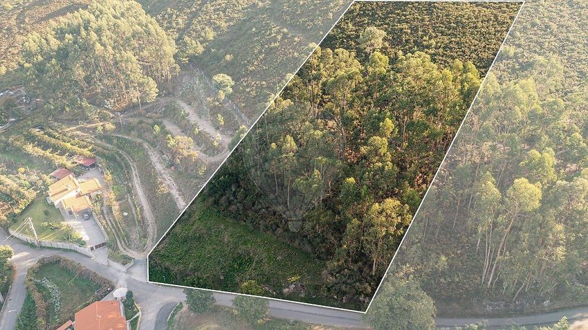 Imagem de terreno em Freitas e Vila Cova