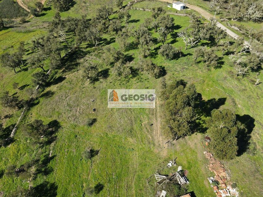Imagem Terreno de terreno em São Barnabé