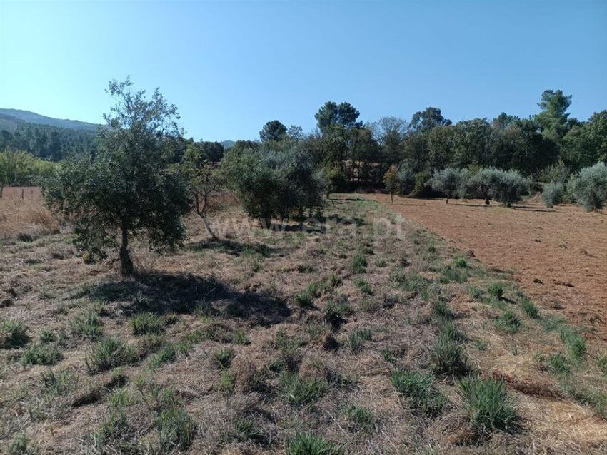 Imagem de terreno em Souto da Casa