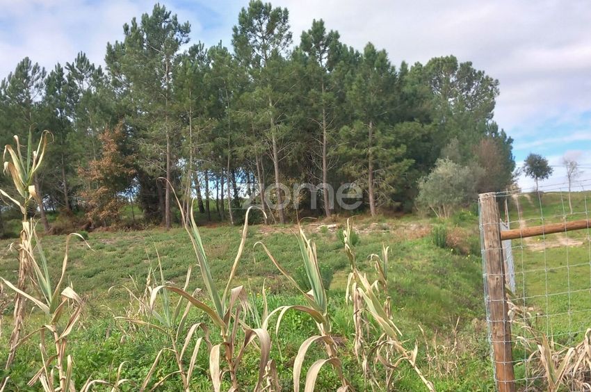 Imagem de terreno em Estrada das Várzeas s/n