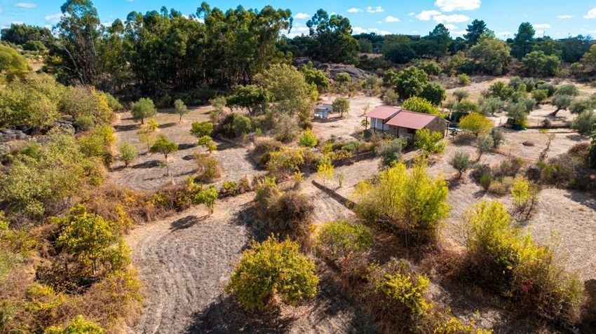 Imagem Jardim de  quinta em Pedrógão de São Pedro e Bemposta