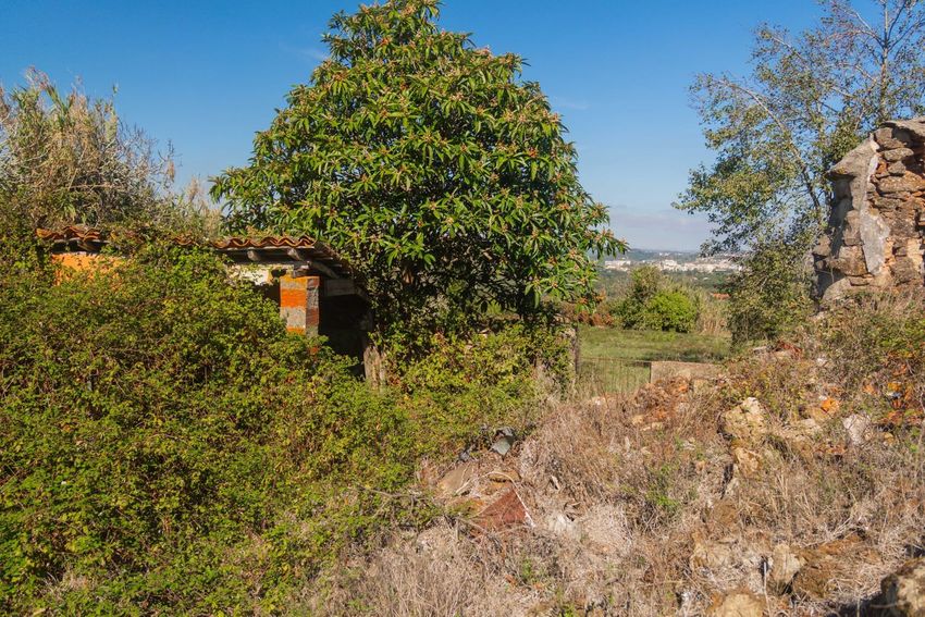 Imagem Jardim de  casa de aldeia em Rua do Outeiro, 66