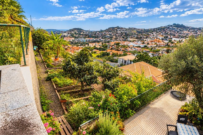 Imagem Jardim de  moradia geminada em Rua Doutor José Maria da Silva