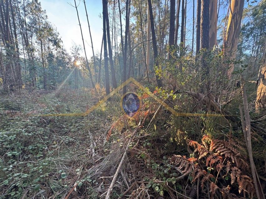 Imagem de terreno em Rua da Serra da Moita