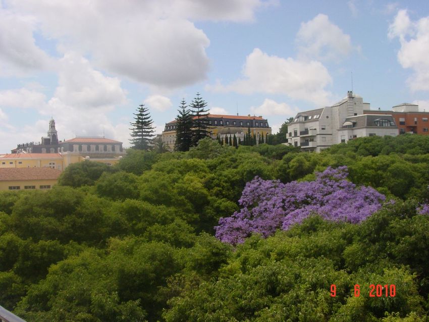 Imagem Jardim de apartamento t2 em Alto de Santo Amaro