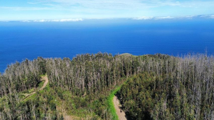 Imagem Vistas de terreno em Caminho da Eirinhas - Achadas da Cruz, 31