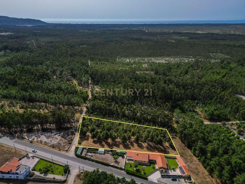 Зображення земельна ділянка, N109
