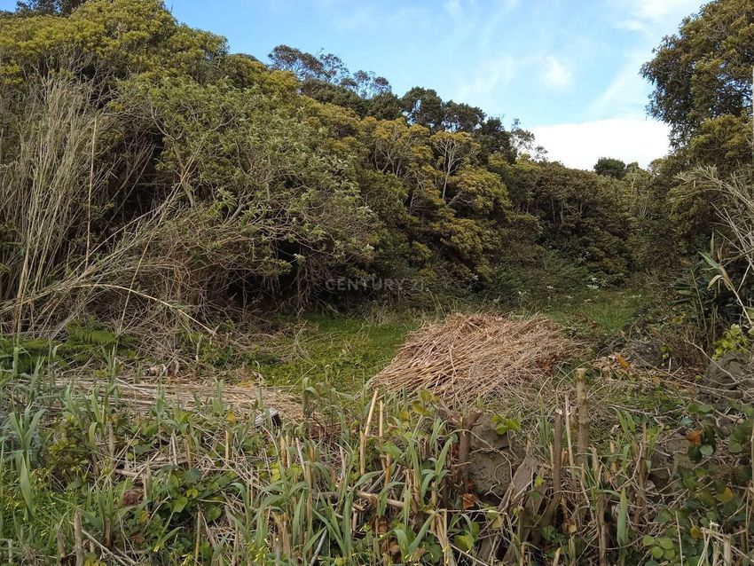 Imagem de terreno em Vila de São Sebastião