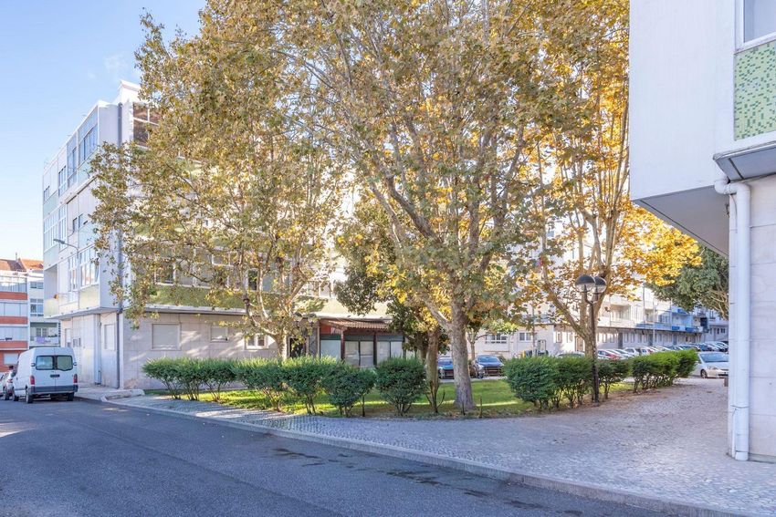 Зображення Сад, квартира t1, Praça Padre Manuel Bernardes, 14