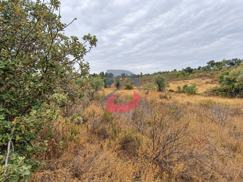 Imagem Terreno de terreno em Salgueiro do Campo