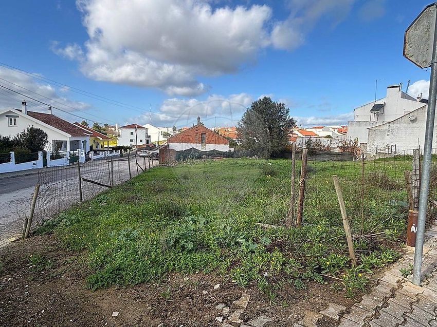 Imagem de terreno em Torrão