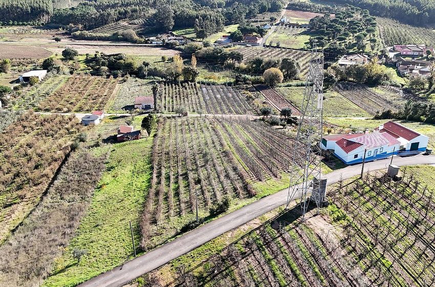 Imagem de terreno em Alguber