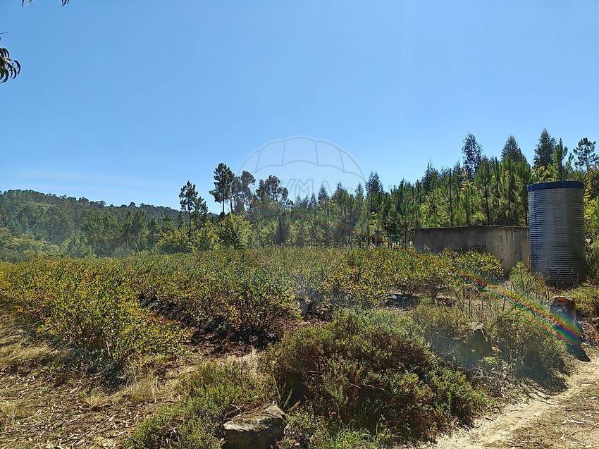 Imagem de terreno em São Miguel do Mato
