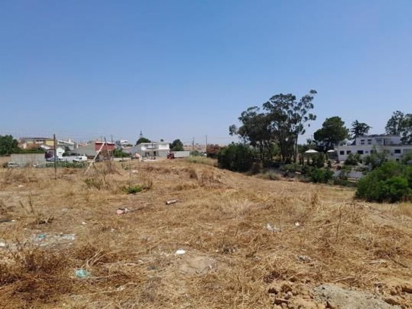 Imagem Terreno de terreno em Botequim - Regateira - Palhais