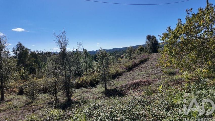 Imagem Redondezas de terreno em Graça