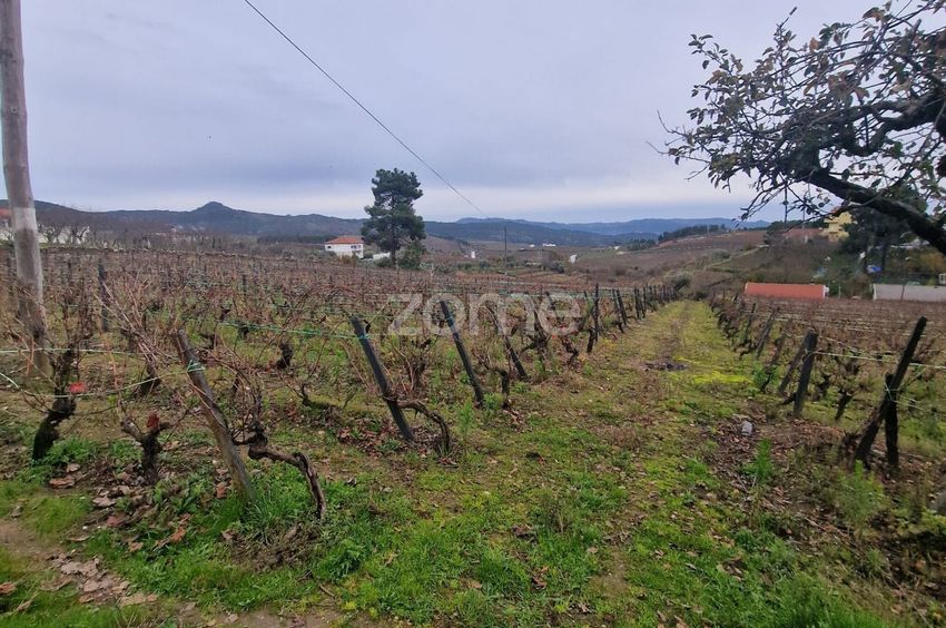 Imagem Terreno de terreno em Largo Doutor Vieira s/n