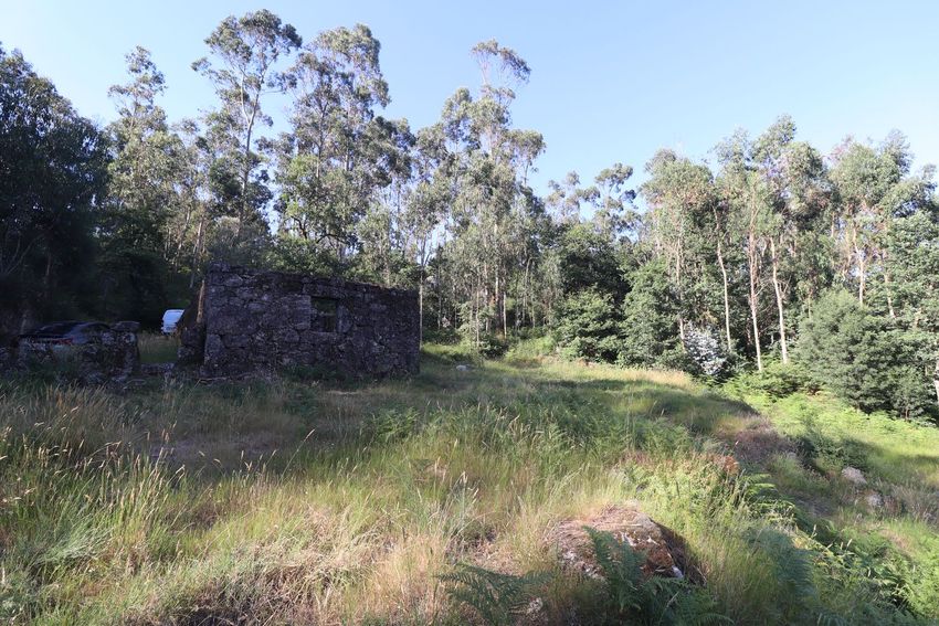 Imagem Jardim de terreno em Ribeira do Neiva