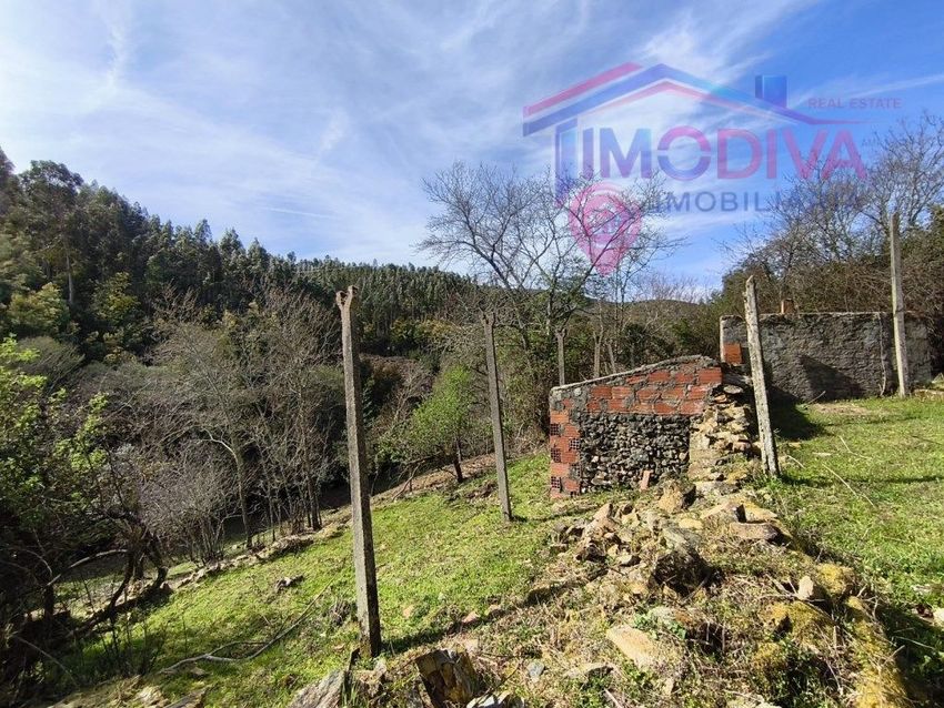 Imagem Jardim de  moradia independente em Campelo