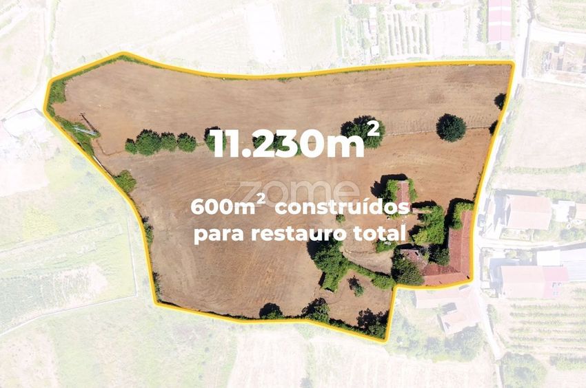 Зображення  кінта, Rua da Carreira, 231