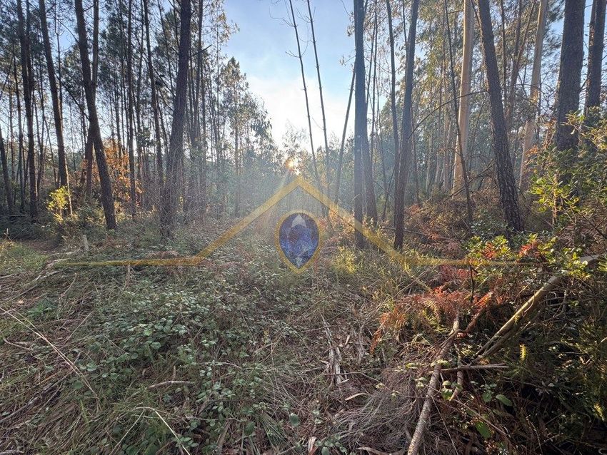 Imagem de terreno em Rua João Vieira