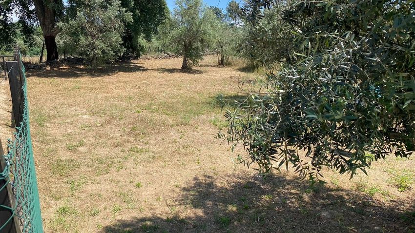 Imagem de terreno em Largo do Rossio