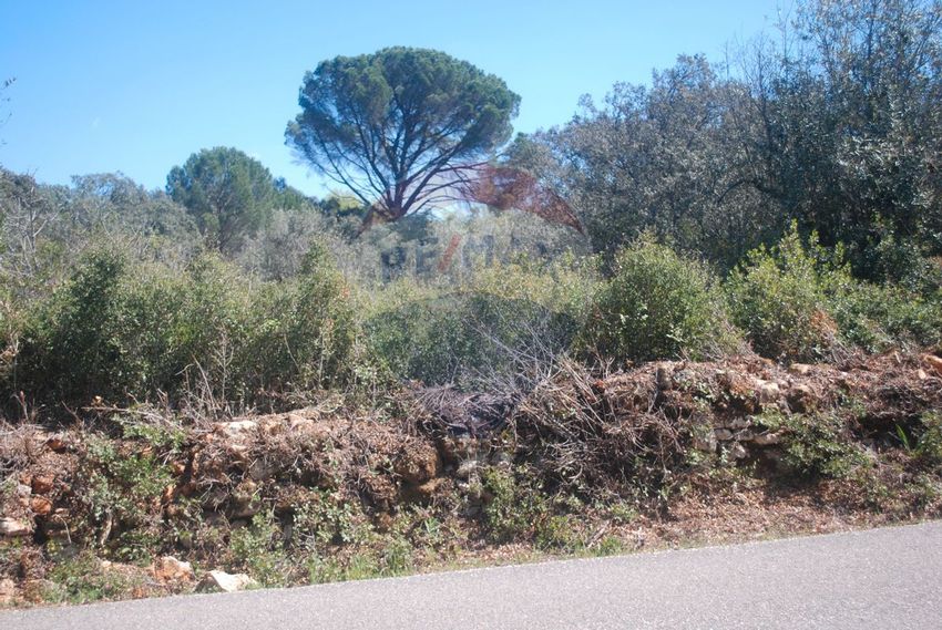 Imagem Vistas de terreno em Chãos