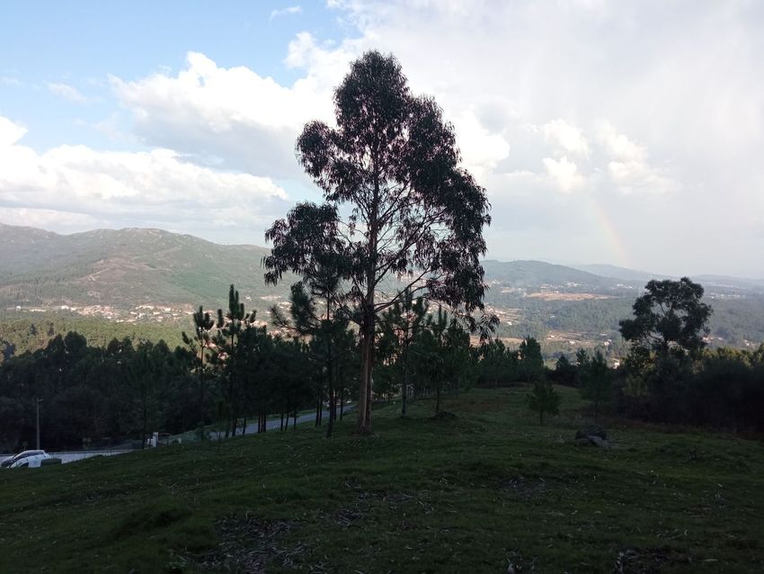 Imagem Jardim de terreno em Rua da Fonte da Figueira s/n