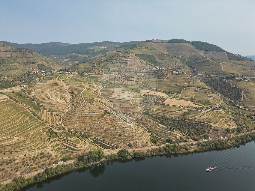 Зображення Вигляд,  сільська садиба, Covas do Douro