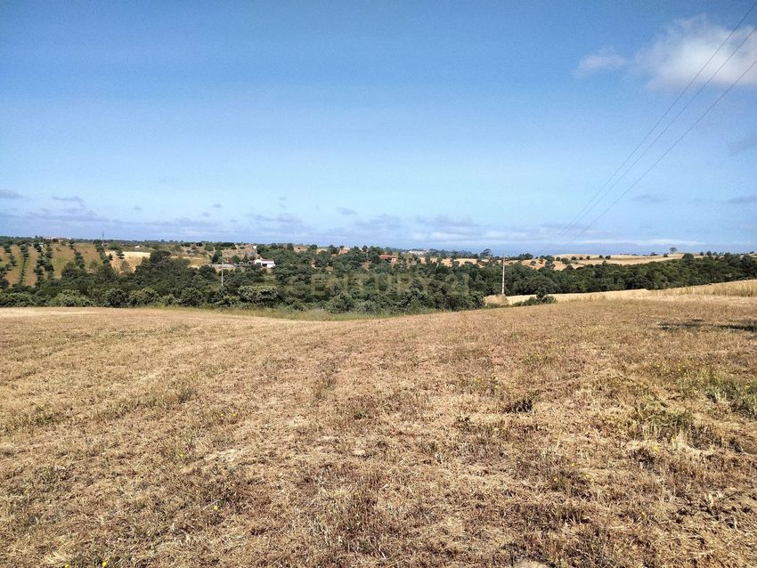 Imagem Vistas de terreno em Rua do Carmona